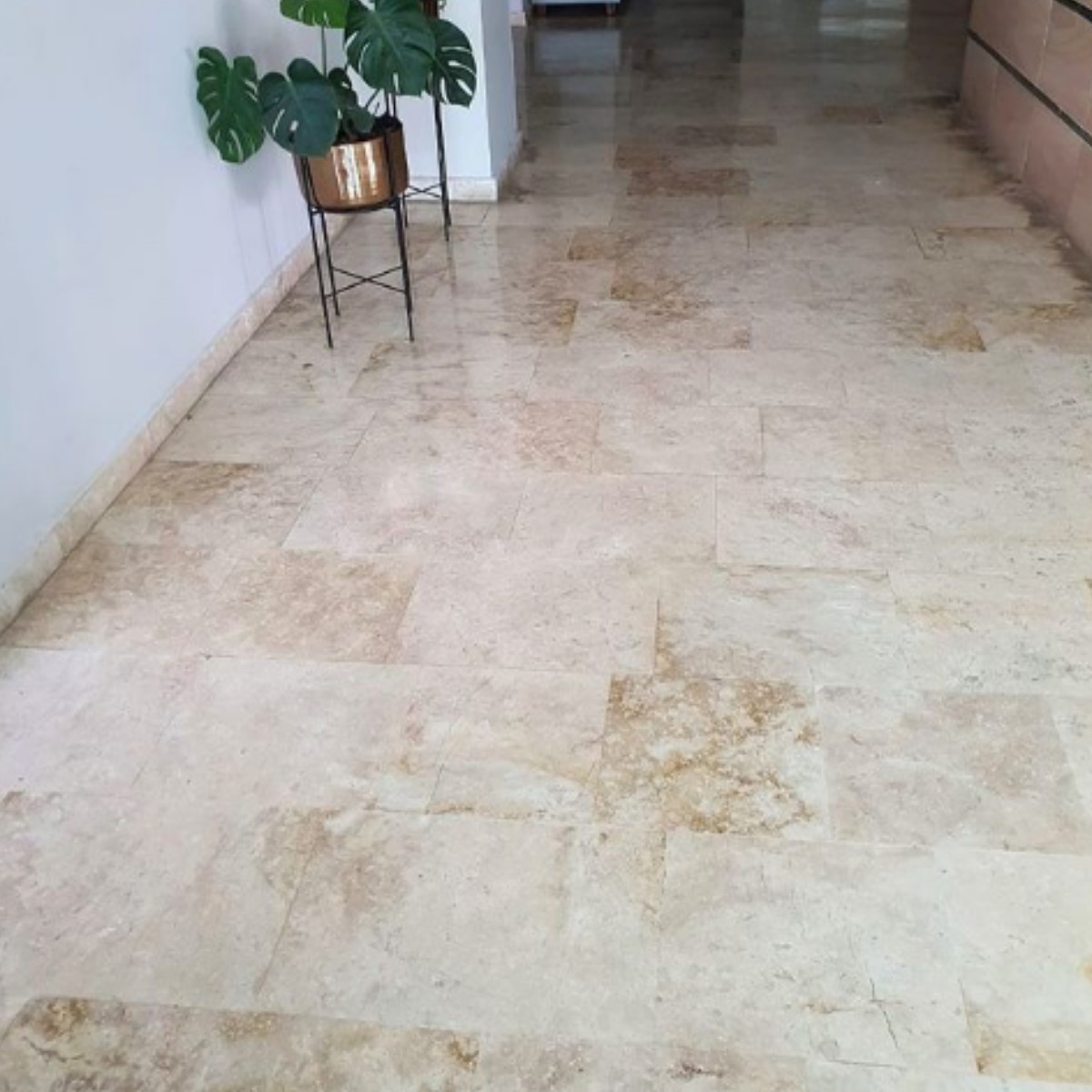 Mármol Crema Siberia